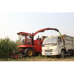 1-BIGDEL 4 SIRALI MISIR SILAJ MAKİNESİ